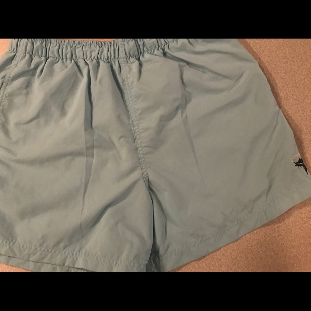 Men's Dillard's Light Blue Swimsuit